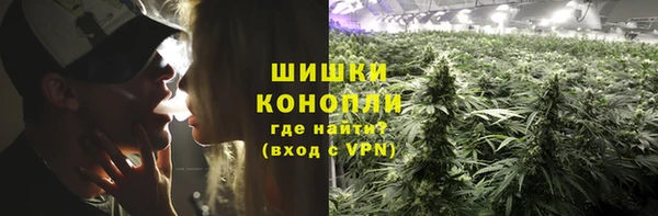 ПСИЛОЦИБИНОВЫЕ ГРИБЫ Алзамай