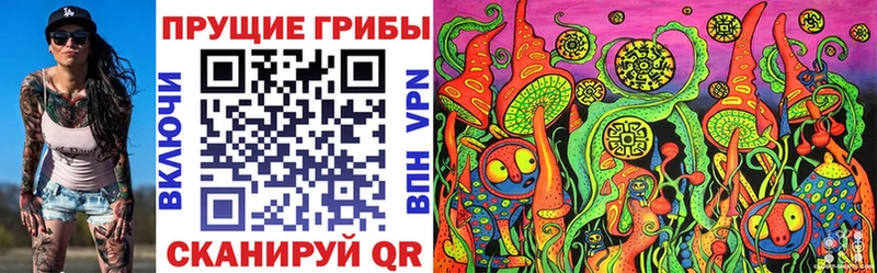 Галлюциногенные грибы Psilocybine cubensis  купить наркотики цена  Зея 
